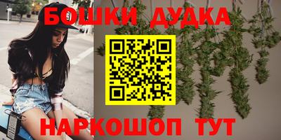 Альфа ПВП Дубна