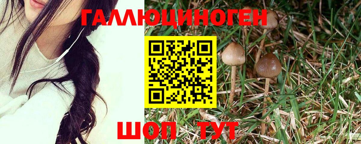 Галлюциногенные грибы ЛСД Кореновск